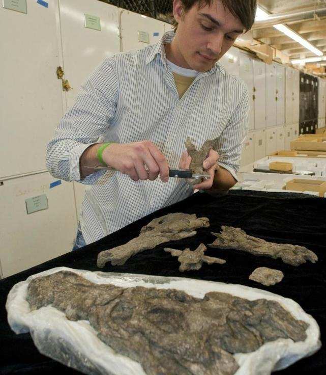 科学|6000万年前地球孕育了体型最大的蛇，重达1吨，形成原因或再现