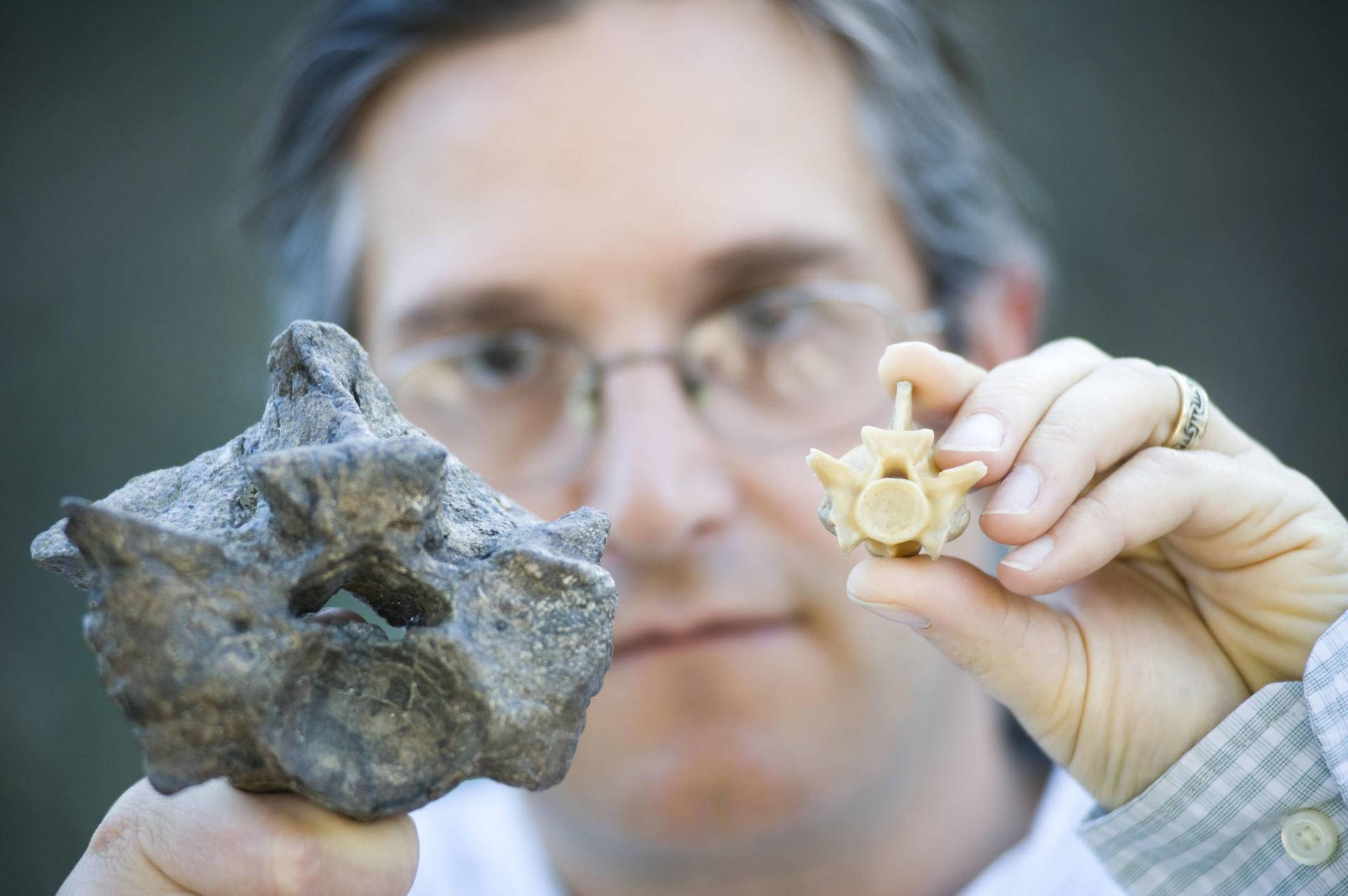 科学|6000万年前地球孕育了体型最大的蛇，重达1吨，形成原因或再现