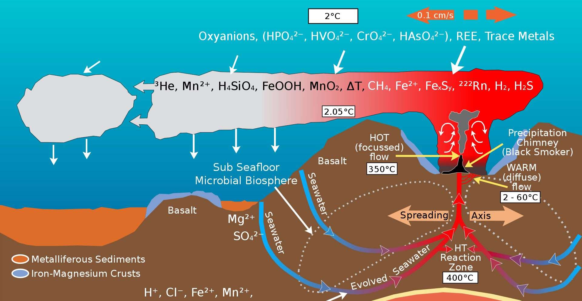 科学|生活在450℃海底热泉旁的虾，用火锅能煮熟它吗？