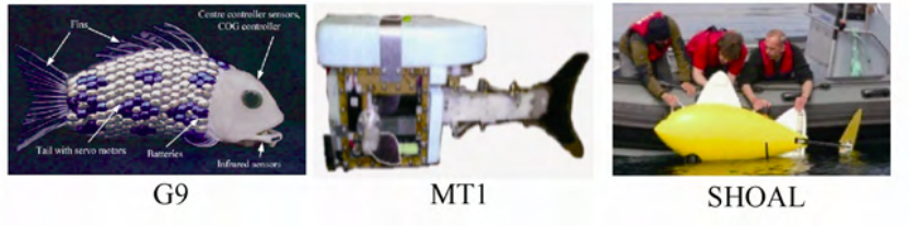 各式各样的仿生鱼｜图源：文献2