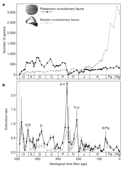 古生代动物群（黑色）和现代动物群（白色）属的数量演化和灭绝率｜图片来源：参考文献[3]