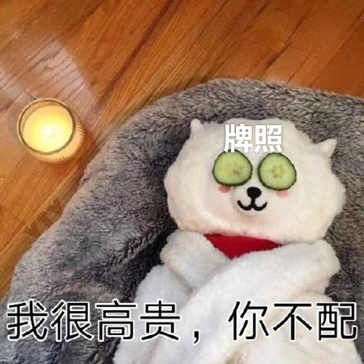 电动汽车|当我终于摇到了车牌号……