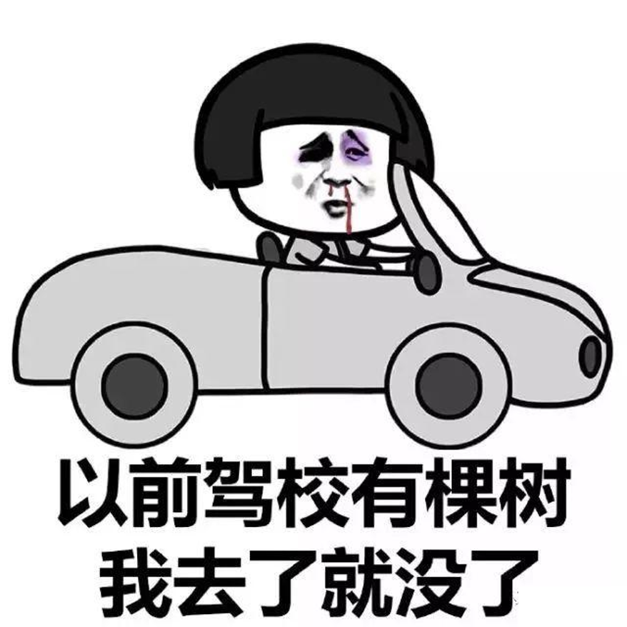 电动汽车|当我终于摇到了车牌号……