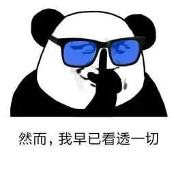 电动汽车|当我终于摇到了车牌号……