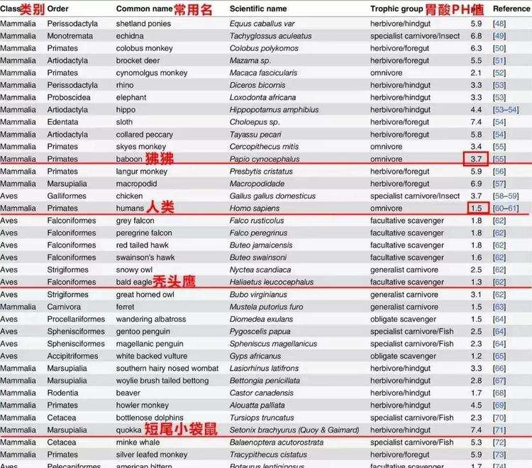 科学|人类曾为了生存不得不食腐，如今登上地球霸主，为何仍旧在食腐？