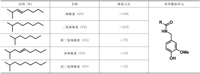 大蒜|吃辣的学问，全都在化学