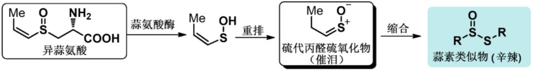 大蒜|吃辣的学问，全都在化学