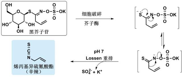 大蒜|吃辣的学问，全都在化学