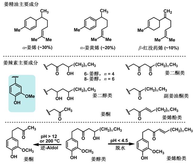 大蒜|吃辣的学问，全都在化学