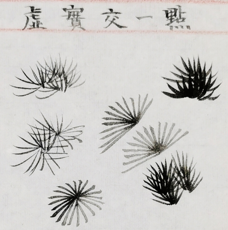 山水特训班第36课松针的几种画法扇形轮形马尾松乱撒针