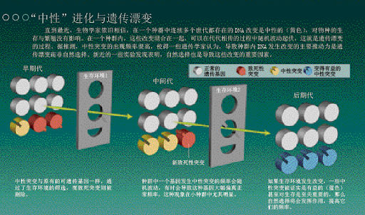 |现代医学是否导致人类演化停滞？专家：不，人类正在加速演化