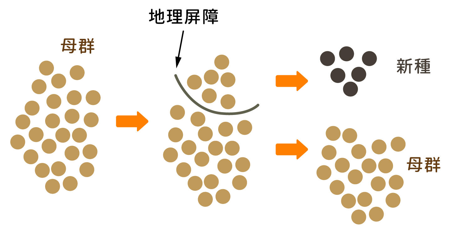 |现代医学是否导致人类演化停滞？专家：不，人类正在加速演化
