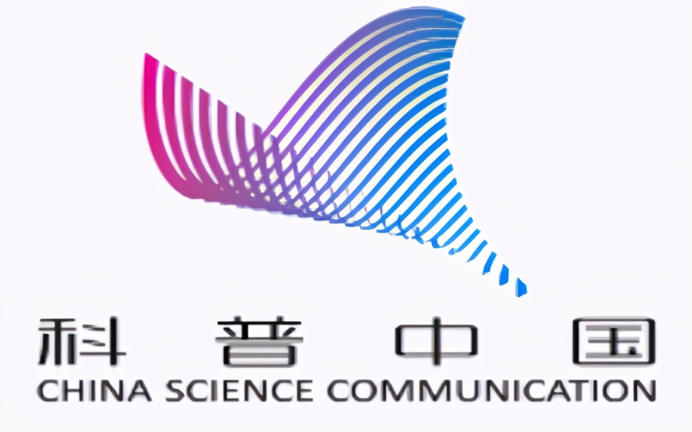 鼠鲨|年度＂鲨雕＂新闻｜发现鲨雕！