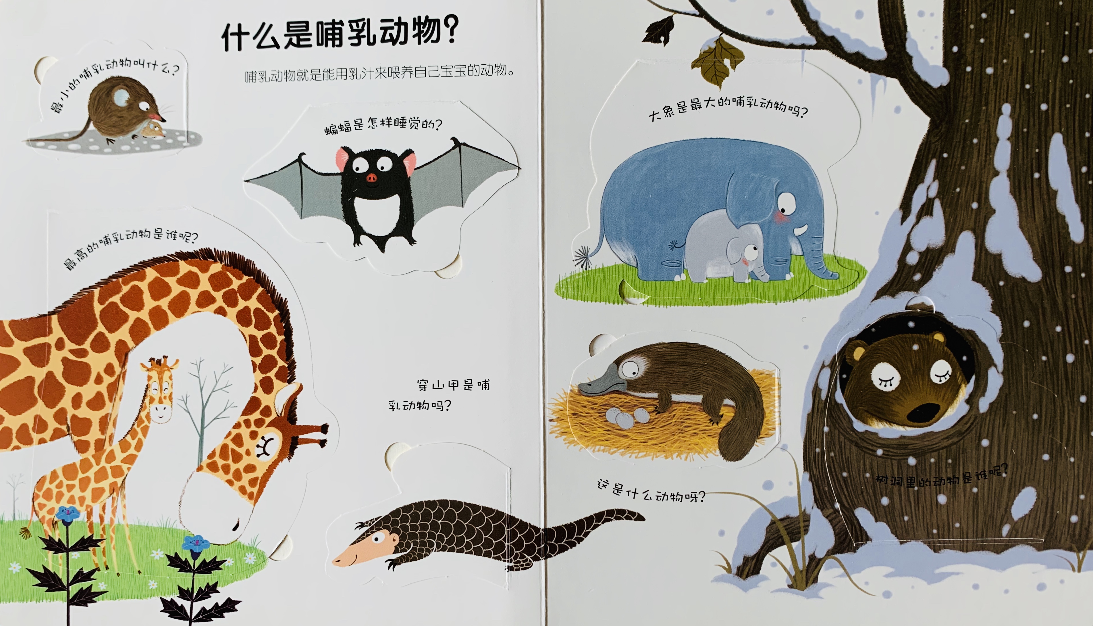 亲子共读绘本3d立体科普翻翻书推荐适合15岁低幼宝宝阅读