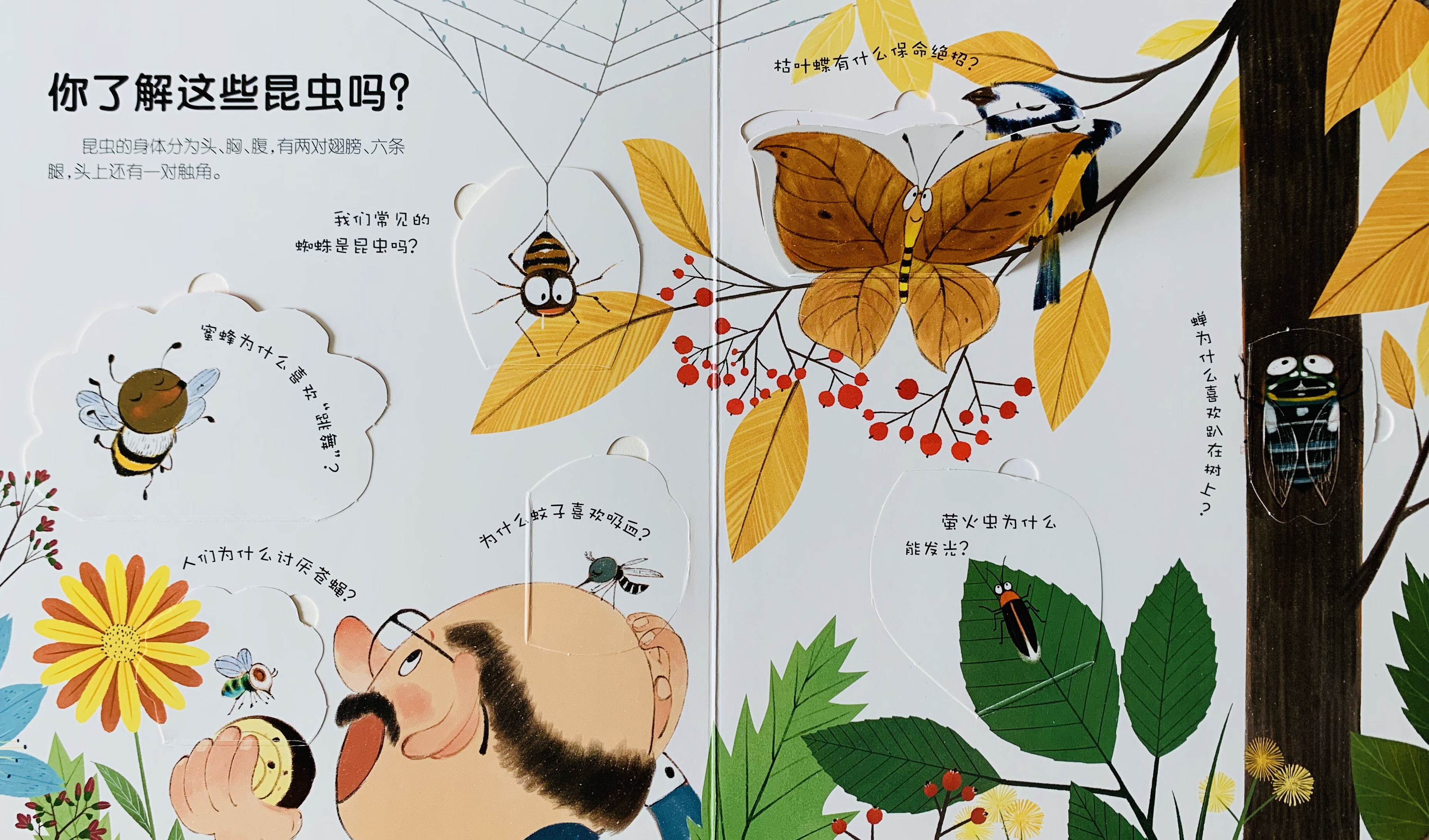 亲子共读绘本3d立体科普翻翻书推荐适合15岁低幼宝宝阅读