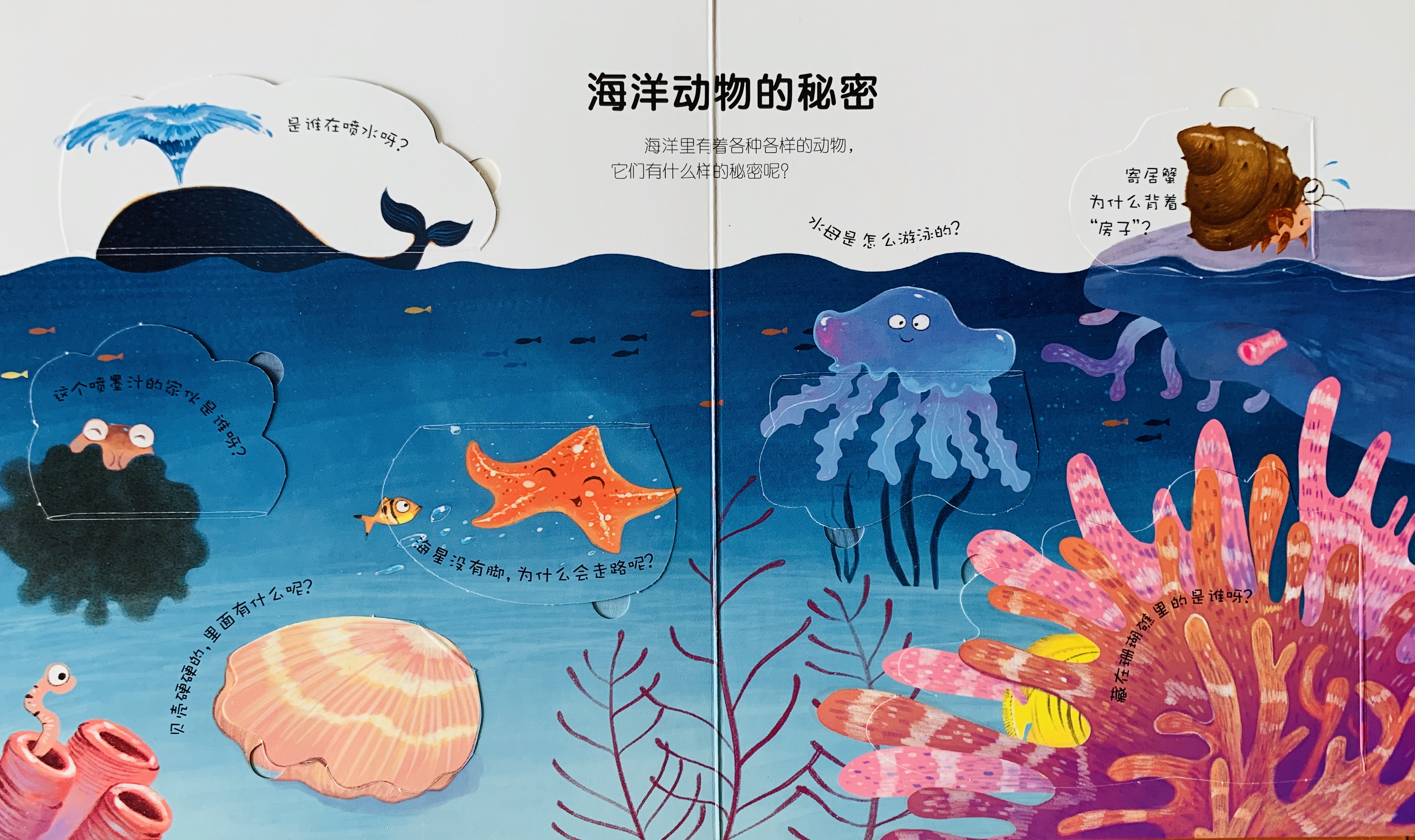 海洋动物的秘密