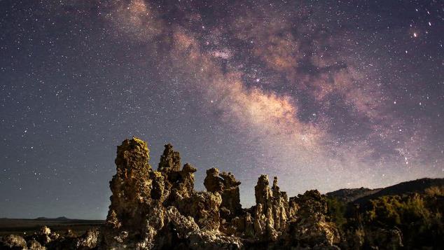 天文|鸟类和观星有什么关系?事实证明，有很多