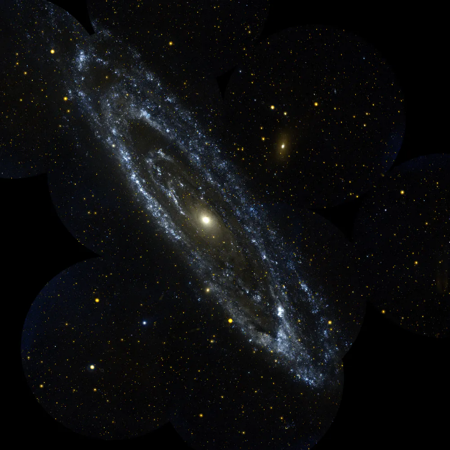 天文|鸟类和观星有什么关系?事实证明，有很多