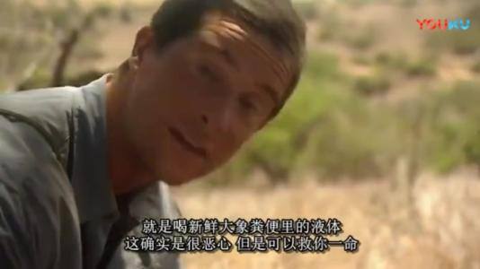 咖啡|用大象粪便做咖啡，一斤3800元，专供有钱人，口感真的很独特吗？
