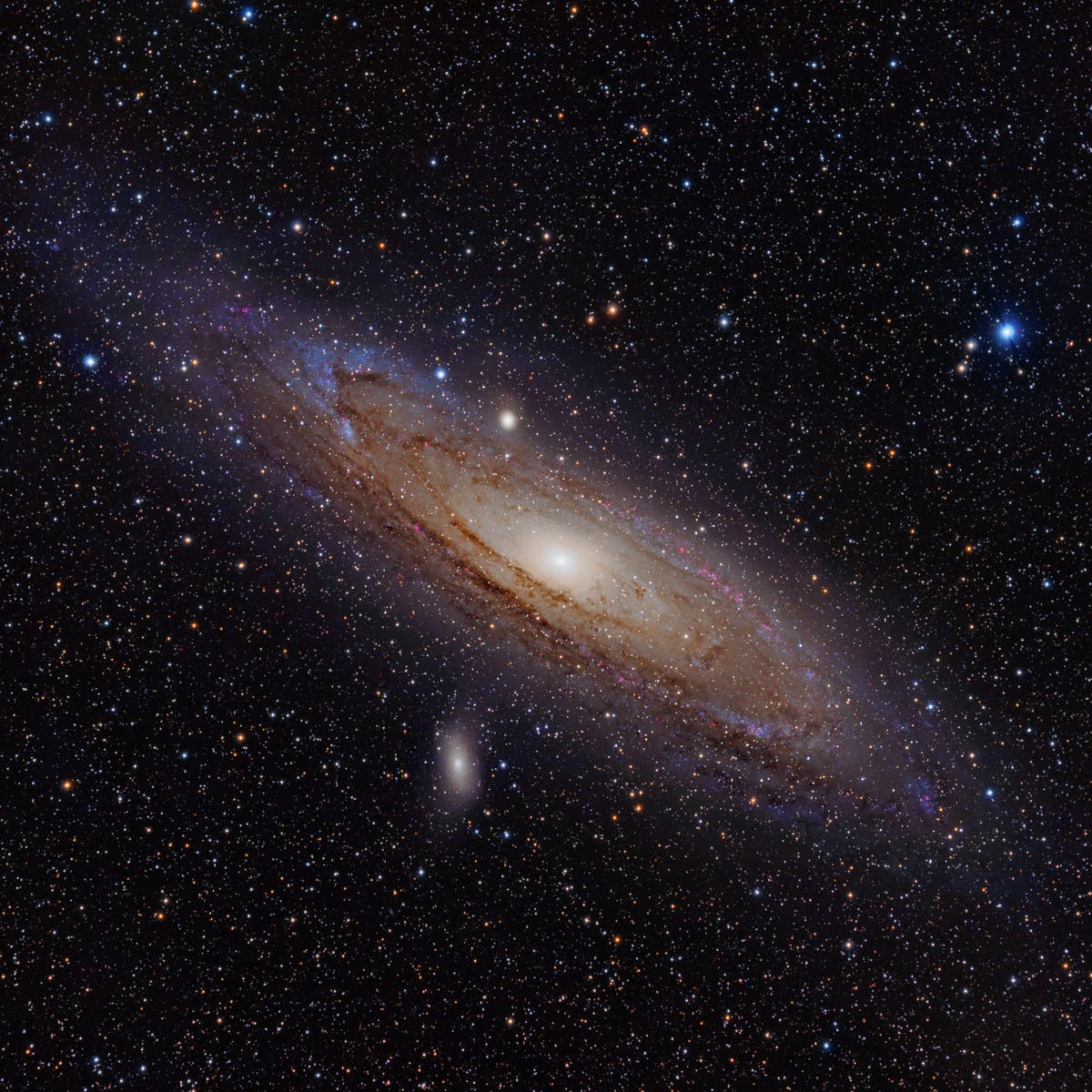 仙女星系|盛景！如果能看到仙女座星系，我们的天空将是另一番模样