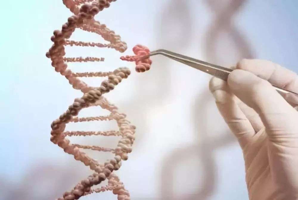 科学|人死后，体内的“僵尸基因”开始活跃，试图复活人类