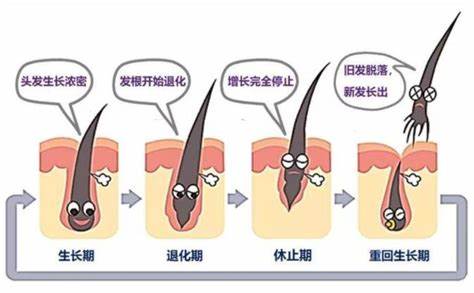 图源https://www.sohu.com/a/280558991