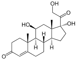 皮质醇 ， 图片源自维基百科