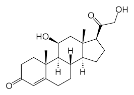 皮质酮 ， 图片源自维基百科