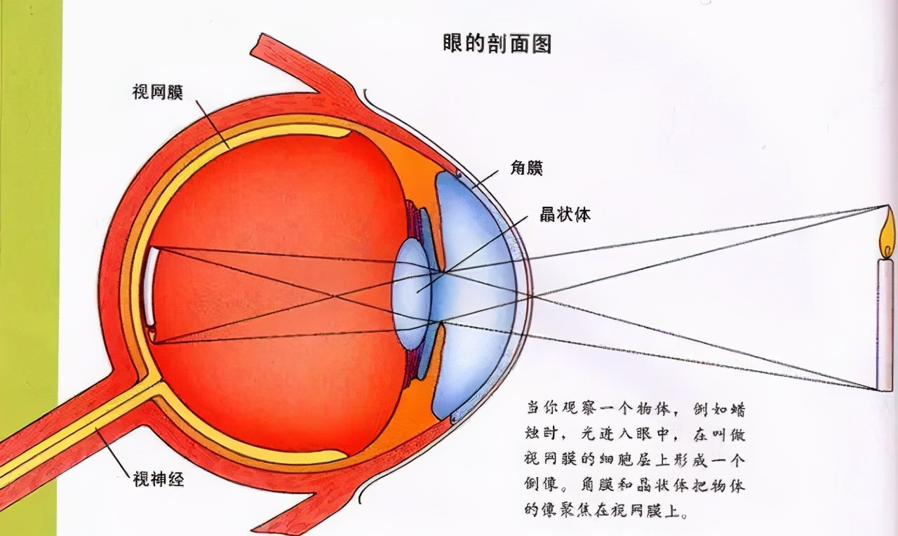 科学|水是无色、透明的，我们为什么能看见水的存在？