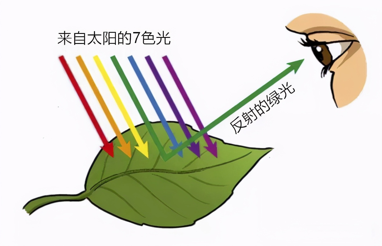 科学|水是无色、透明的，我们为什么能看见水的存在？