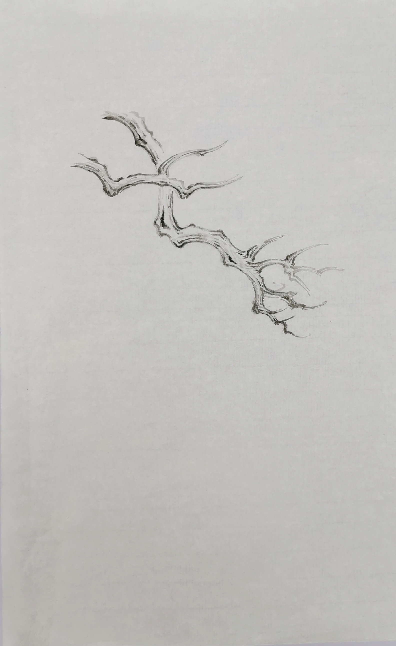 国画山水花鸟中马尾松的画法松针口诀