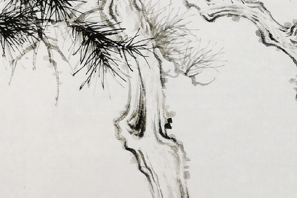 国画山水花鸟中马尾松的画法松针口诀