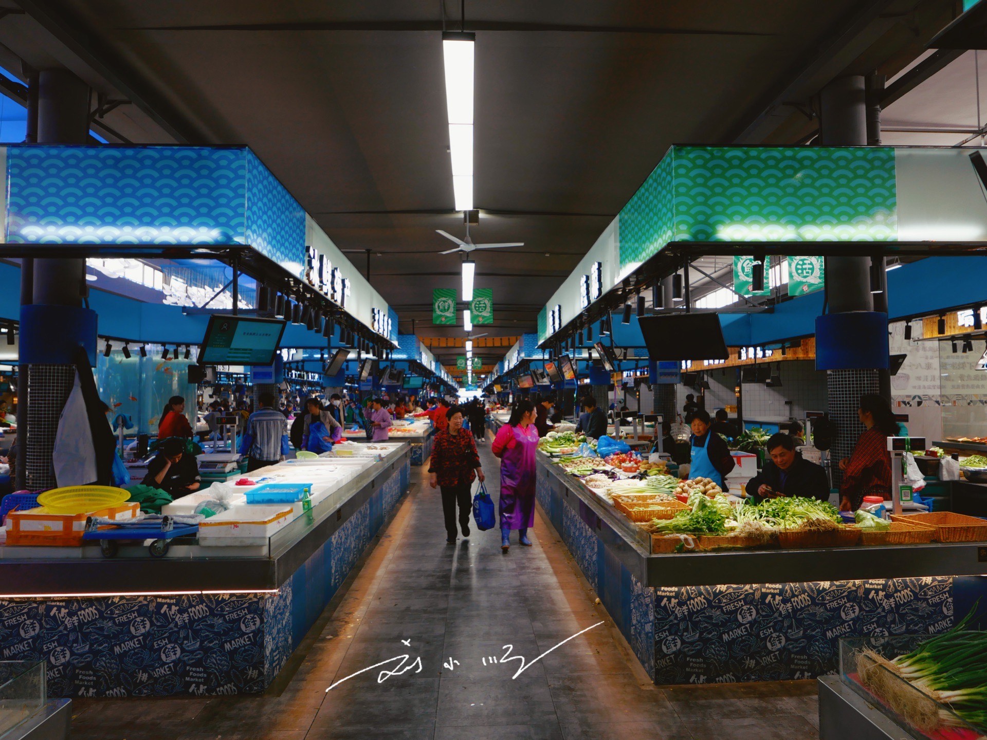 实拍浙江宁波网红菜市场花费1300万打造而成已成旅游打卡点