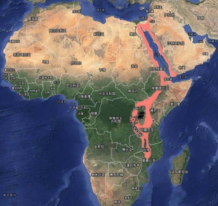 科学|地球上原本并没有人，那第一个女人和男人是如何诞生的？