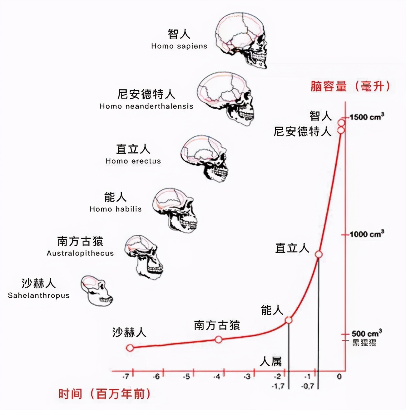 科学|地球上原本并没有人，那第一个女人和男人是如何诞生的？