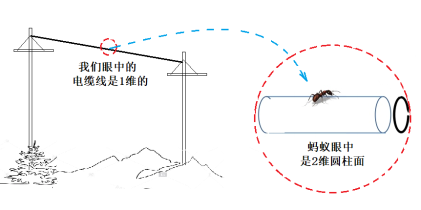 普朗克|蚂蚁眼中的世界和我们有什么不同？