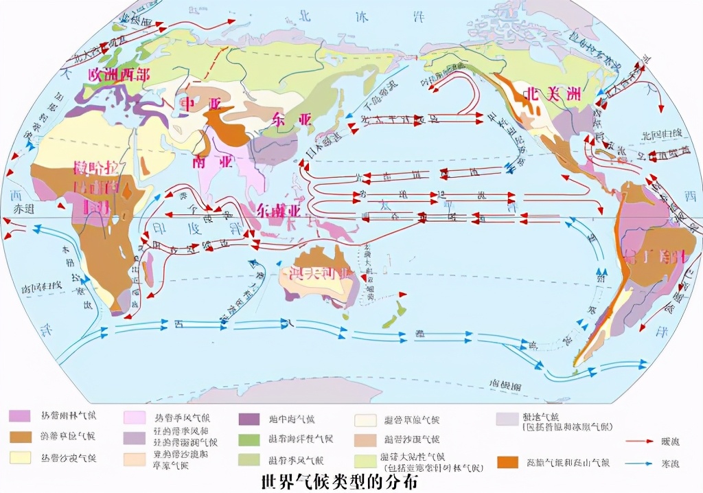 太平洋|28000只小黄鸭意外坠入太平洋，陆续在全球现身，这是怎么回事？