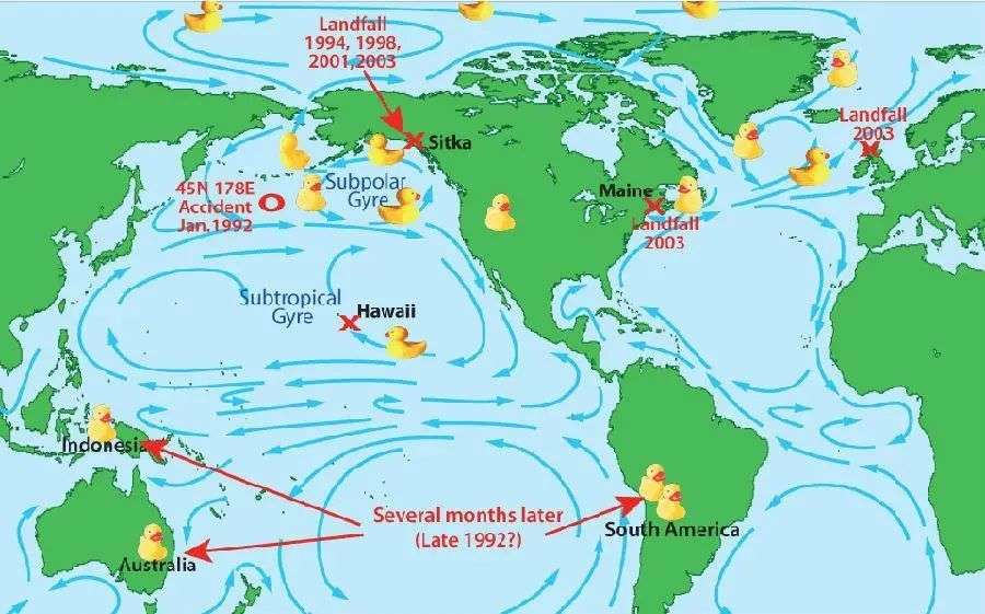 太平洋|28000只小黄鸭意外坠入太平洋，陆续在全球现身，这是怎么回事？