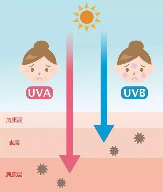 防晒系数|假期旅游，不是只有这样才晒不黑……