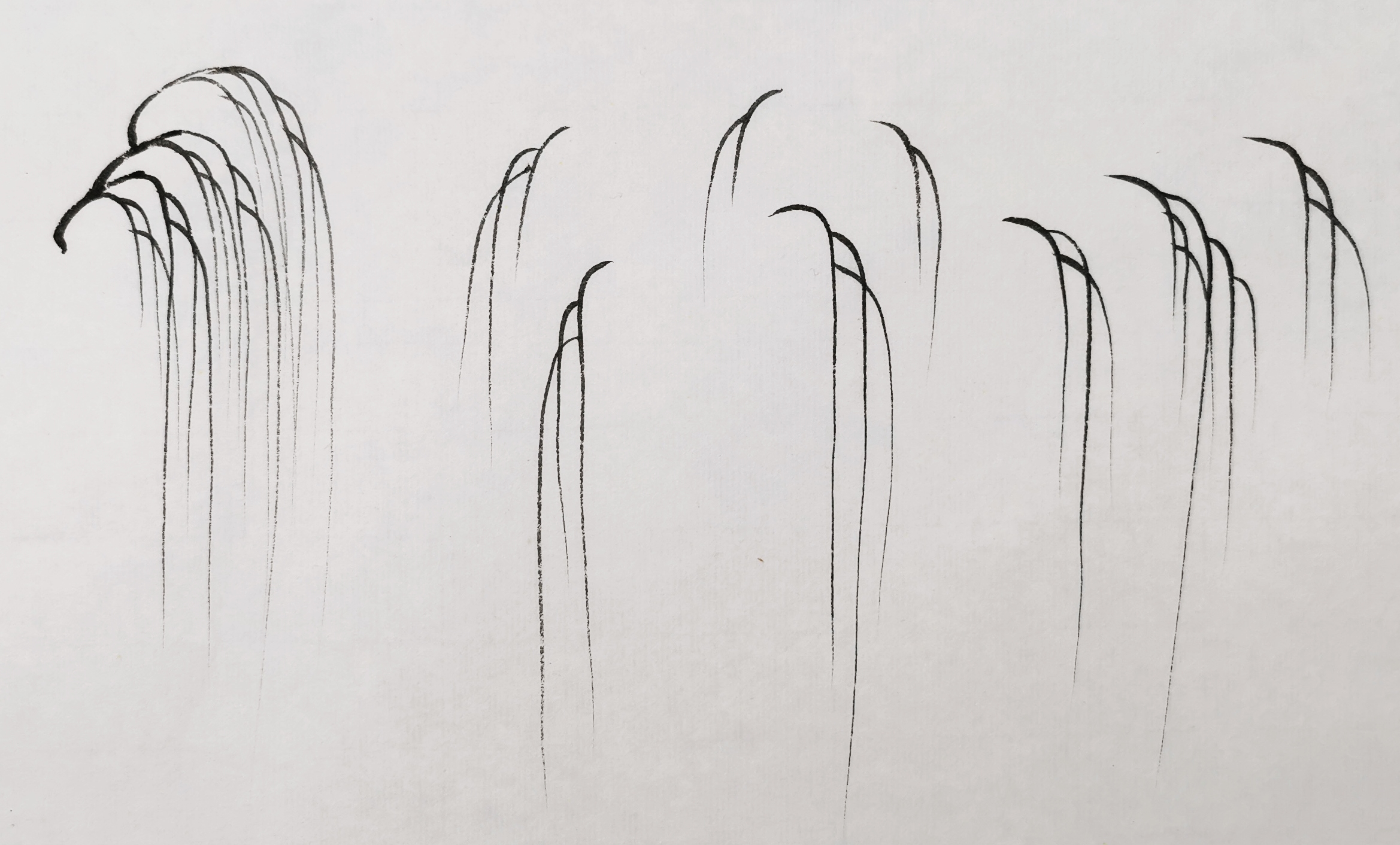 柳树的水粉画法步骤图片