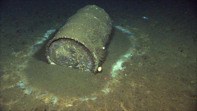 ddt|美国力挺日本核废水真相！美国海底27000桶毒物泄露，动物遭殃