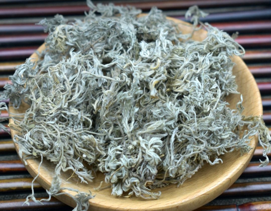 中药古今研究茵陈