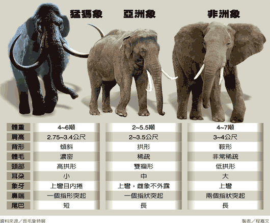 大象|18头大象疑雷击致死，这种情况你也可能遇到，逃生技巧一定要知道
