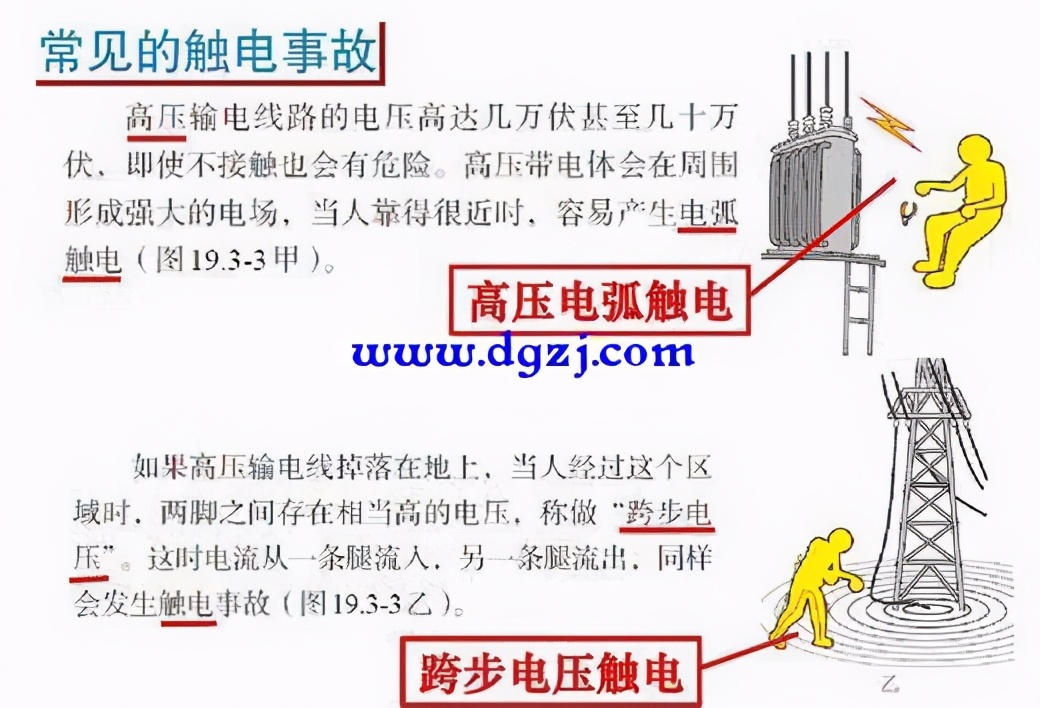 大象|18头大象疑雷击致死，这种情况你也可能遇到，逃生技巧一定要知道