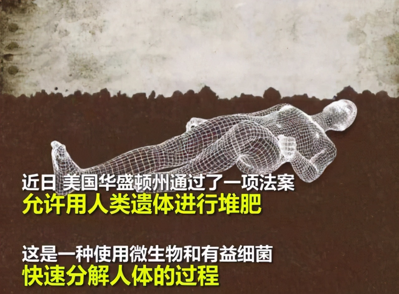 科学|火化严重浪费？动物死后都会重归自然，人类为何要打破自然规律？