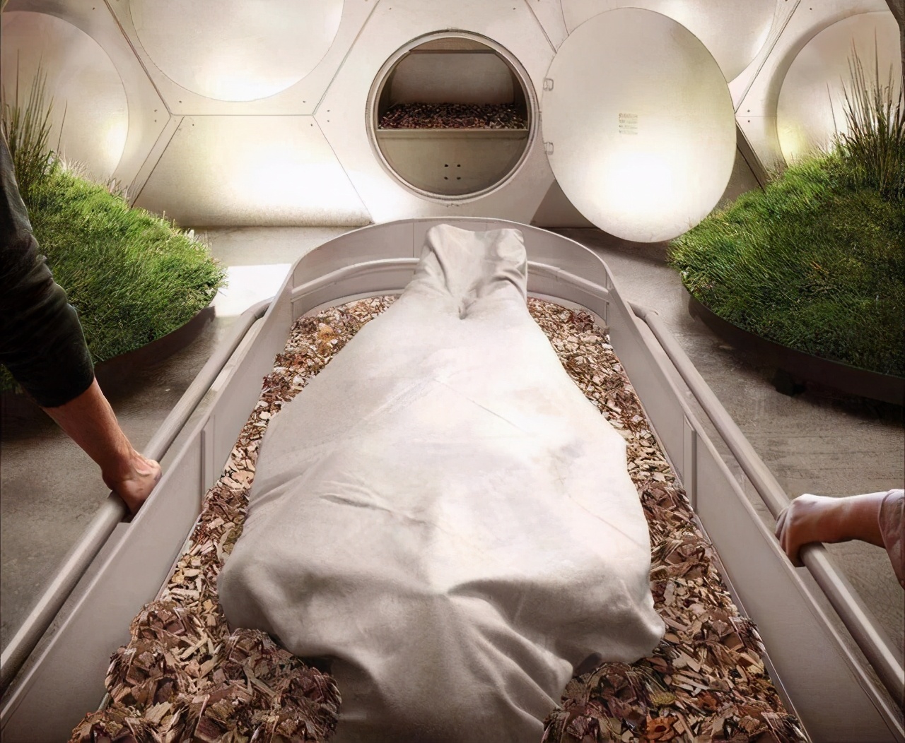 科学|火化严重浪费？动物死后都会重归自然，人类为何要打破自然规律？