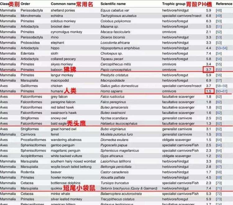 秃鹫|我们低估了“死神”秃鹫，胃酸强到腐蚀金属，阻止了草原疫情爆发