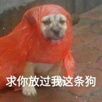 生活|《科 学 挠 痒 痒》