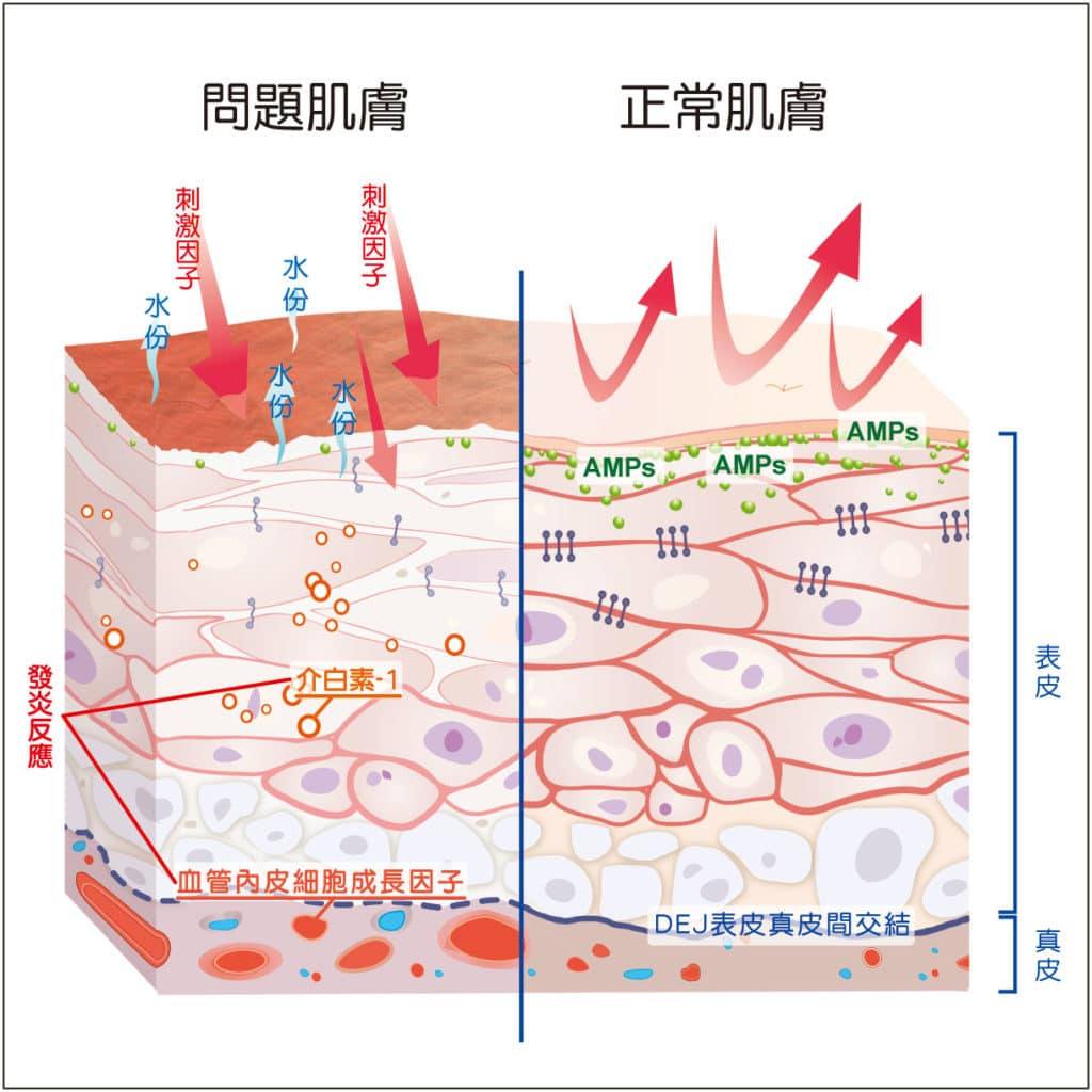 显微镜|洗澡搓下来的黑泥到底是什么？黑泥在1000倍显微镜下是什么样子？