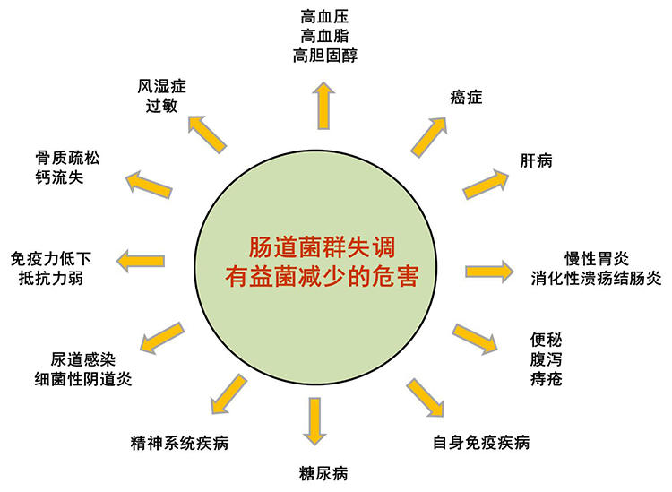 显微镜|洗澡搓下来的黑泥到底是什么？黑泥在1000倍显微镜下是什么样子？